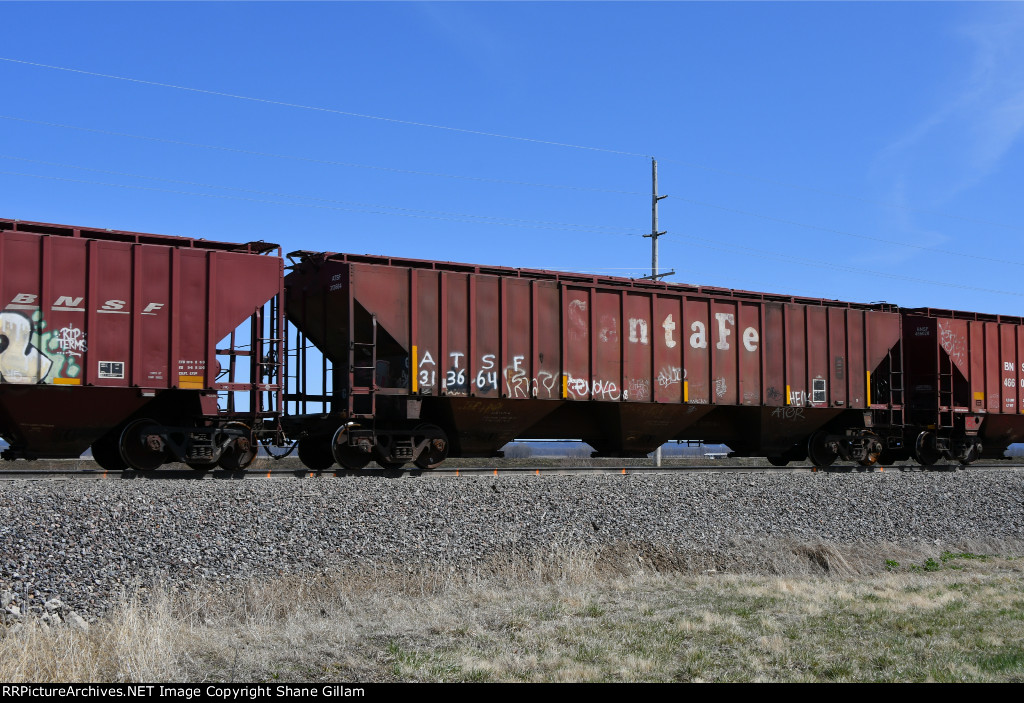 ATSF 313664